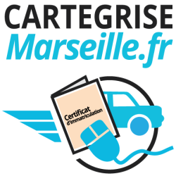 Démarche carte grise ou permis de conduire en ligne